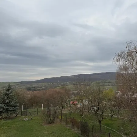 Virag *